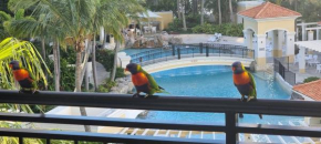 Darren Surfers Apartment, Surfers Paradise